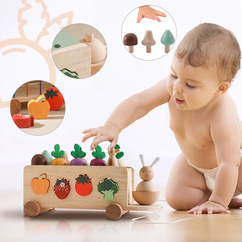 Jeu Éveil Bébé en Bois avec Jardin Potager