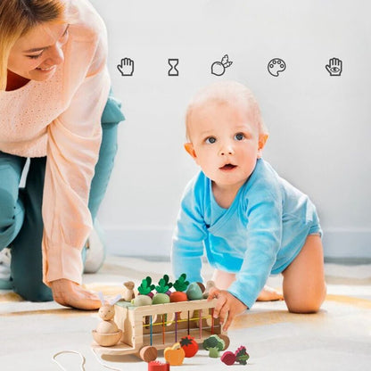 Jeu Éveil Bébé en Bois avec Jardin Potager